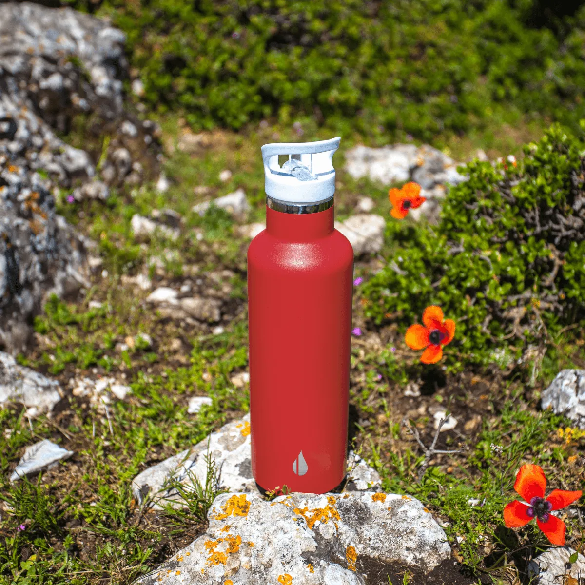 Classic 25oz Sport Water Bottle - Matte Red